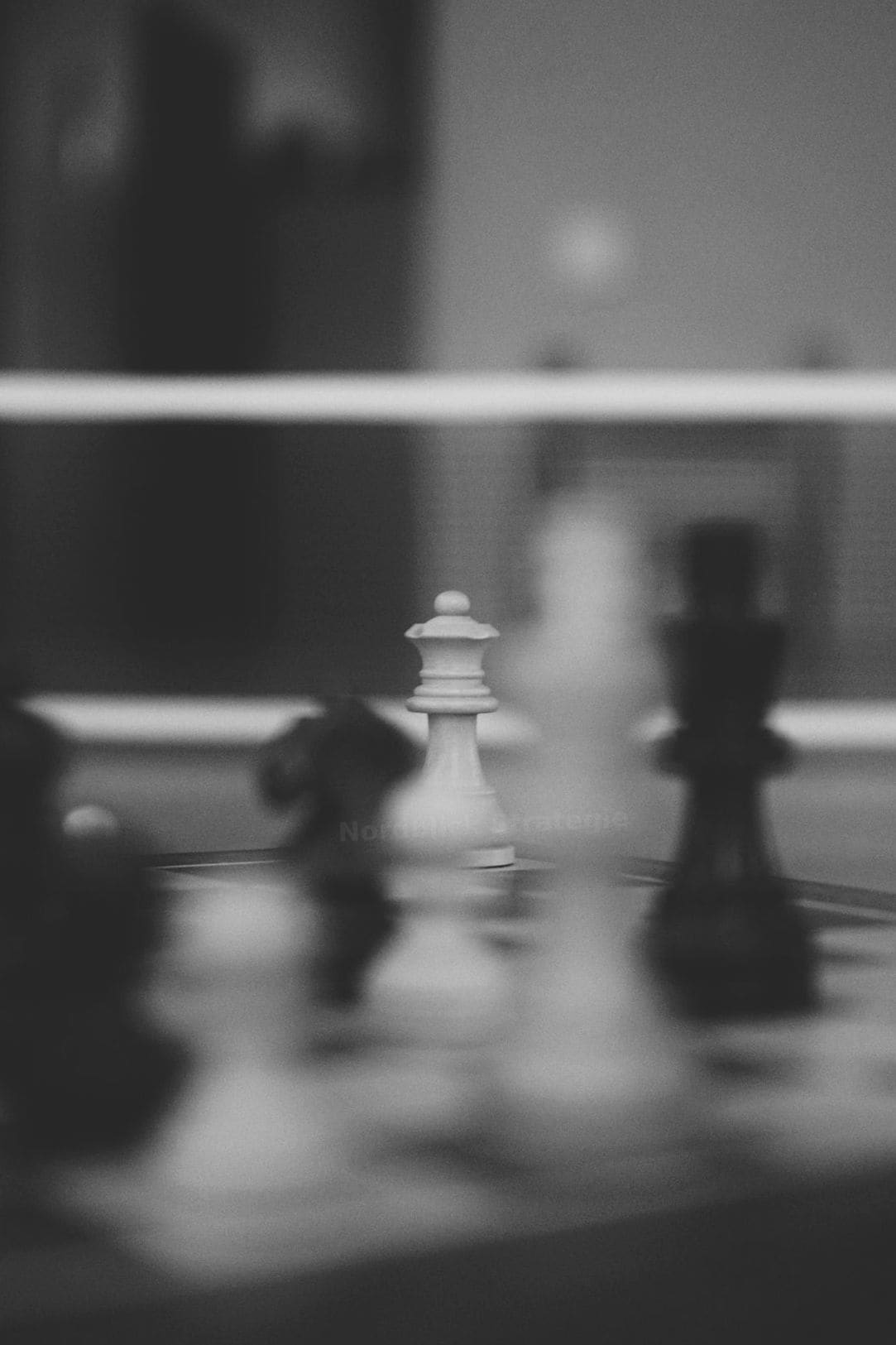 Nordblick Strategie 10