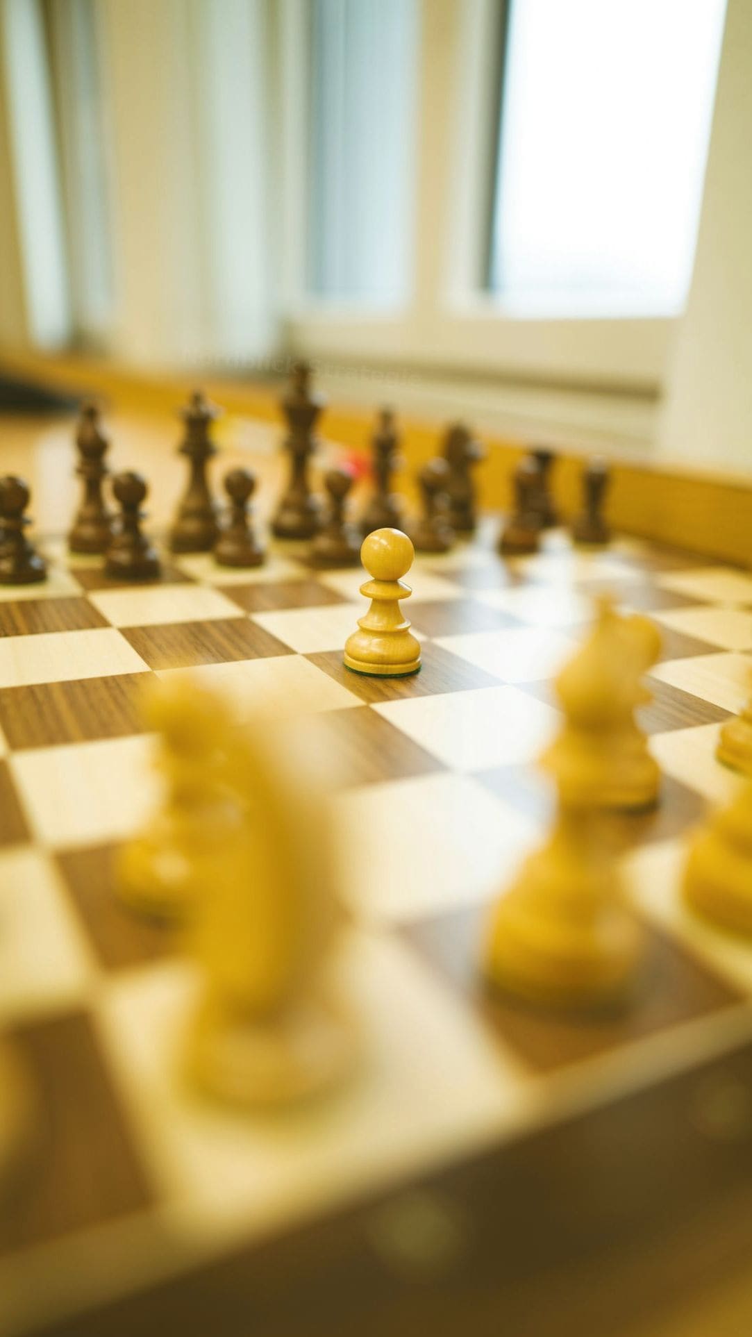 Nordblick Strategie 13