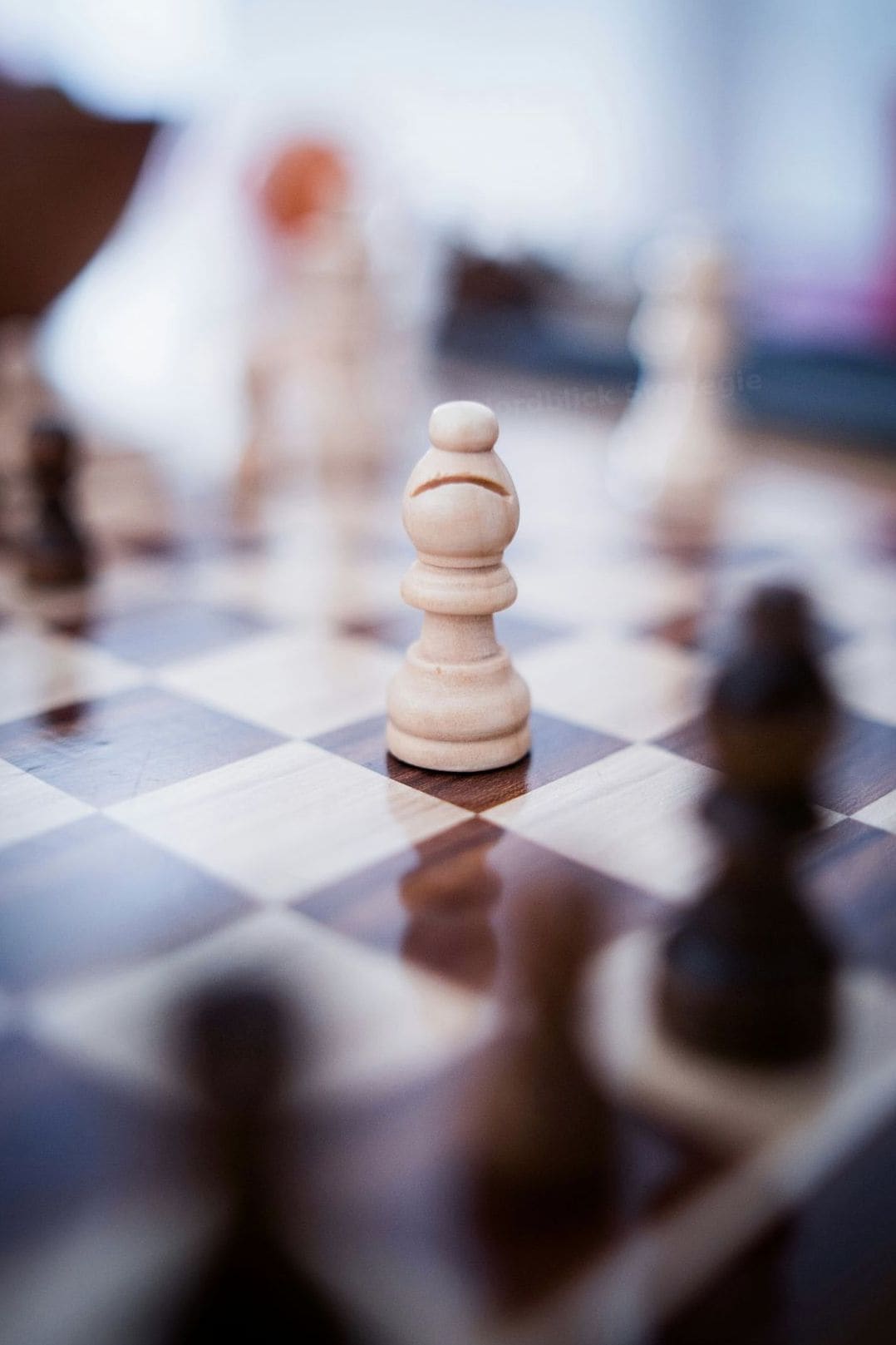 Nordblick Strategie 7