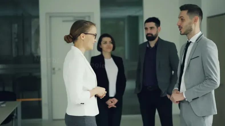Analyse und Einblicke